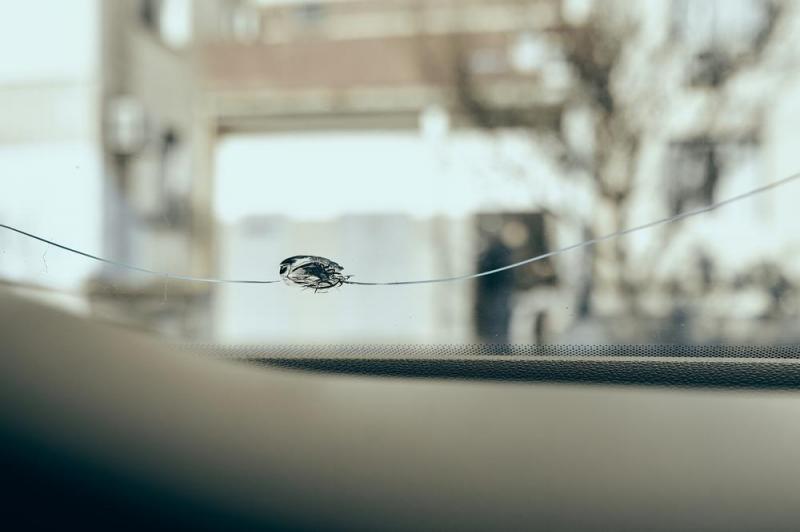 R&eacute;paration de vitrage automobile, que faire en cas d'impact ?